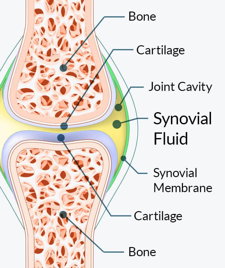 Body Joint structure
